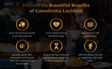 7 Boxes RICH GANO Cafe Noir BLACK COFFEE - with 100% Ganoderma Extract